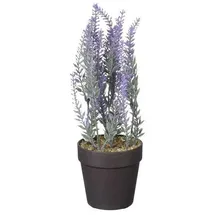 Mica decorations - Mica Künstlicher Lavendel Im Topf Violett 24 X 10 Cm Dekoblumen