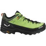 Salewa ALP Trainer 2 GTX M Pale frog/black