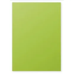 Clairefontaine Farbiges Papier A4 120g Minze 50 Blatt