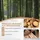 luxuskollektion Gartenmöbel Set 3-tlg. Beige