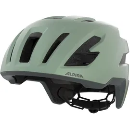Alpina Taunus Gravel MIPS 52-56 cm Herren willow-green matt 2025