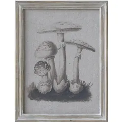 Chic Antique Bild mit Pilzmotiv und Naturrahmen, Motiv 2
