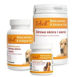 Dolfos Dolvit Beta-Carotin & Biotin forte 90 Tabletten
