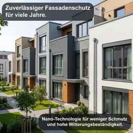 WO-WE Nano Fassadenfarbe Silbergrau 10 l