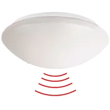 Beg Brück Electronic Wand- und Deckenleuchte HF-L1