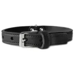 Das Lederband Hundehalsband Weinheim, schwarz, 57 cm x 20 mm