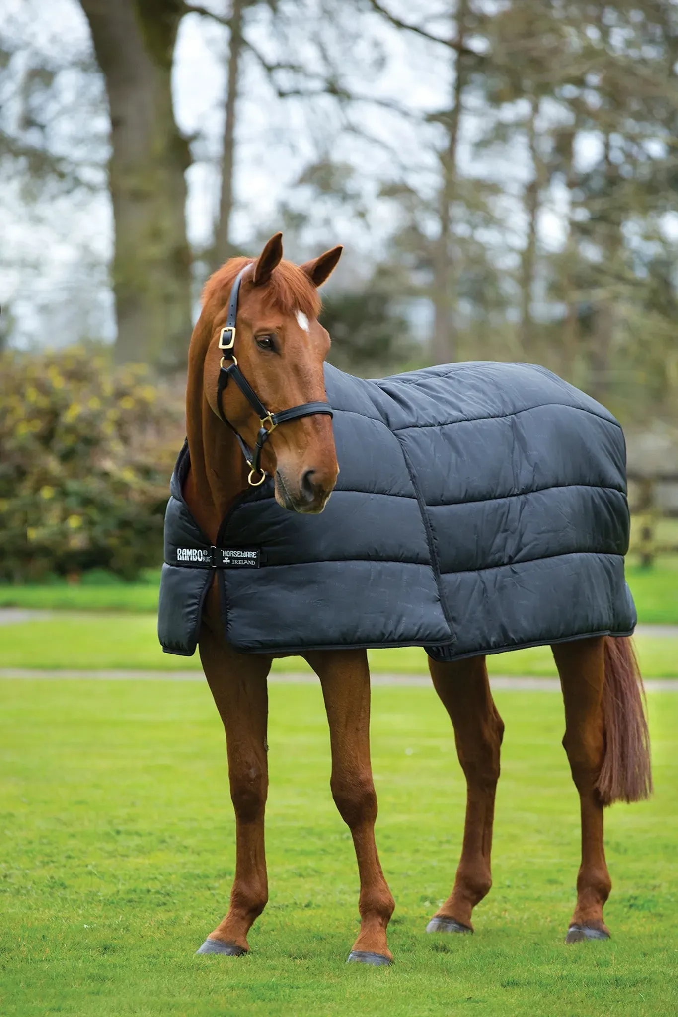 Horseware Rambo Optimo Unterdecke, 200g