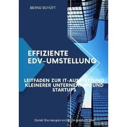 Effiziente EDV-Umstellung