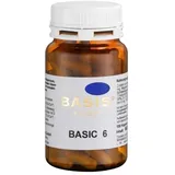 Basis BASIC 6