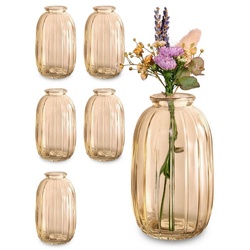 Praknu Tischvase 6 Vintage Glas Minivasen – Runde & Stabile Blumenvasen (Set, 6 St), Spülmaschinenfest – Kleine Glasvasen für Hochzeit Tischdeko – Gold goldfarben 7 cm x 11,8 cm