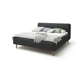 Meise Möbel meise.möbel Polsterbett Mattis 160 x 200 cm Stoff Grau Anthrazit