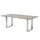 Niehoff Noah Gartentisch 200 x 95 x 76 cm HPL Beton-Design/silberfarben