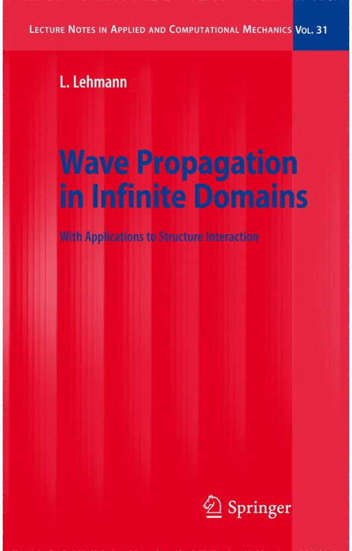 Wave Propagation In Infinite Domains - Lutz Lehmann, Kartoniert (TB)
