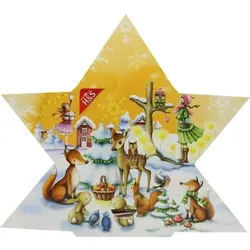 H&S Adventskalender Stern Filterbeutel 24 St