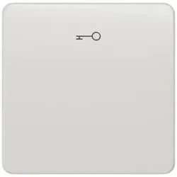 Siemens 5TG7808 DELTA profil Wippe mit Symbol Türöffner, titanweiß