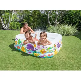 Intex Aquarium Pool 159 x 159 x 50 cm