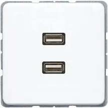 Jung USB-Steckdose 2 x USB Alpinweiß 1 St.