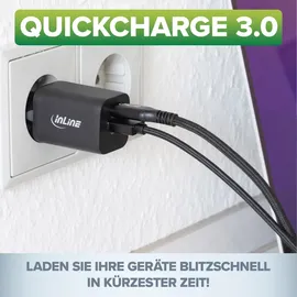 InLine Power Delivery + Quick Charge USB Netzteil, 33W, USB-A + USB-C, schwarz