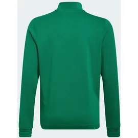adidas Entrada 22 Trainingspullover Grün 164