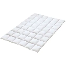 sanders-kauffmann gmbh Kauffmann Sleepwell Comfort Daunendecke 155x220 cm -