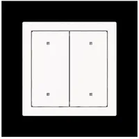 Busch-Jaeger 2570-20-44M Wippe für Elektroniktaster Busch-art linear, 2-fach, ransparente