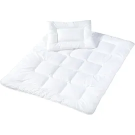 Julius Zöllner Basic,