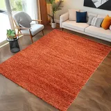 Carpettex Hochflor Teppich Wohnzimmer 120x170 cm Terrakotta - Flauschiger Teppich Extra Weich und Pflegeleicht - Shaggy Teppich Modern Einfarbig Design - Teppich für Schlafzimmer, Esszimmer und Küche