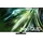 Samsung GQ85QN90D 85" Neo QLED 4K Smart TV QN90D