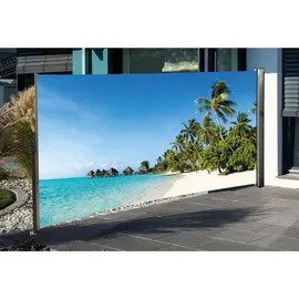 Westerholt Seitenmarkise 160 x 300 cm Mehrfarbig Stahl