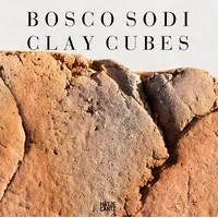 Hatje Cantz Bosco Sodi: Clay Cubes