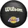 Wilson NBA Team Tribute Mini