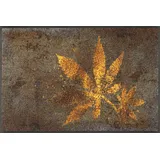 Wash+Dry Herb Blend 50 x 75 cm Bunt
