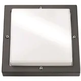SG LEUCHTEN Außenleuchte Graphit E27, max. 46W, IP65, staubdicht