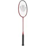 Carlton Badmintonschläger