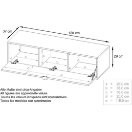 Vladon Lowboard, Weiß Hochglanz, Holzwerkstoff, 120x29x37 cm, Wohnzimmer, Wohnwände, Lowboards, Lowboards stehend