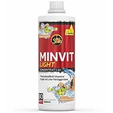 ALL STARS Minvit + L-Carnitin Drink 1 L
