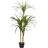 Beliani Kunstpflanze Dracaena Anita 147 cm Grün