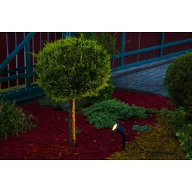 EDO Außenleuchte Gartenstrahler mit Erdspieß HORTUS BLACK IP65 GU10 schwarz EDO777112 EDO