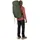Osprey Kestrel 58 Rucksack Bonsai Green