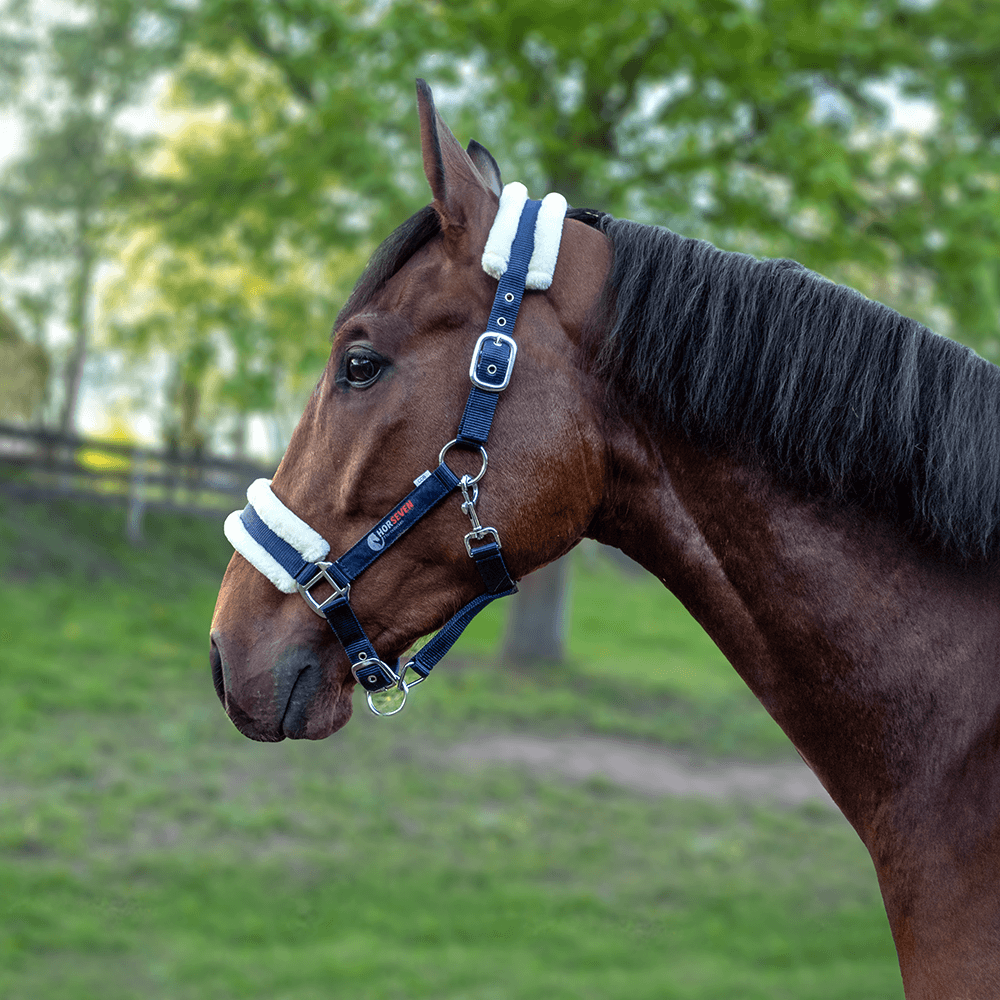 HorSeven Halfter mit Kunstfell - navy, Vollblut