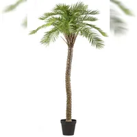 Creativ green künstliche Pflanze Macauba-Palme, ca 235cm