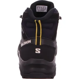 Salomon DAINTREE MID GTX