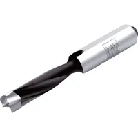 Leitz Premium Dübelbohrer DM 8x70 mm / Schaft: 10x30