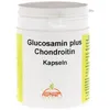 Glucosamin+chondroitin Kapseln