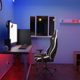 HJH Office GAMEBREAKER SX 04 Gaming-Stuhl Schwarz/Weiß
