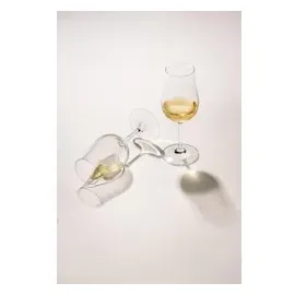 Schott Zwiesel BAR SPECIAL Whisky Tasting Glas 4 Stück Whiskygläser
