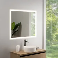 rivea Dia Einbau-Spiegelschrank B: 100 cm mit 2 Türen, mit umlaufender Beleuchtung, für die Schweiz, BR0546MI+BN0478MI,
