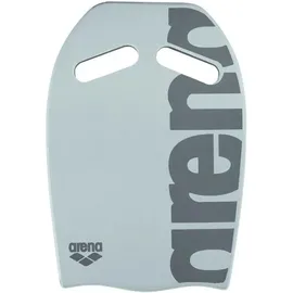 Arena Kickboard Silver Einheitsgröße