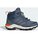 Adidas Terrex Disney Mid Gore-Tex Wonder Steel / Grey Three / Semi Impact Orange 34