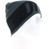 Dynafit Light Logo Mütze-Anthrazit-One Size